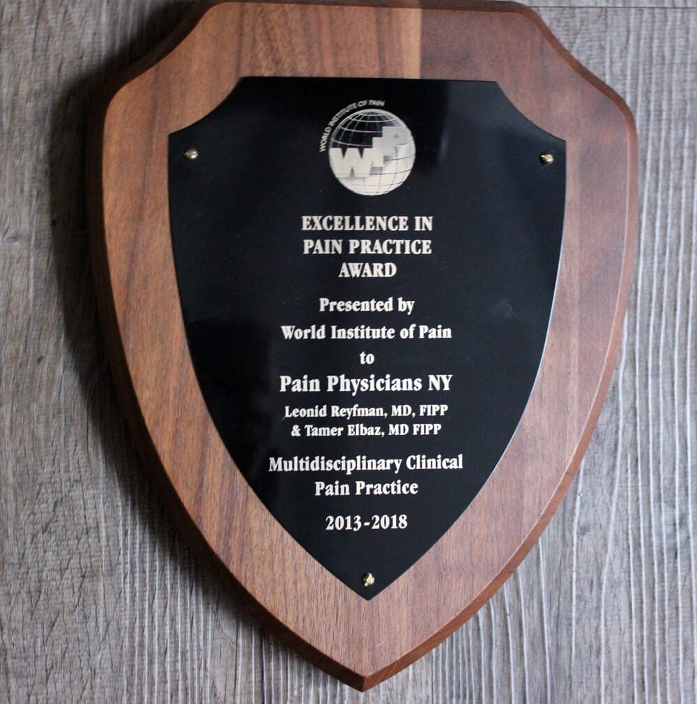 excellenceinpainpracticeplaque Pain Physicians NY Pain Medicine