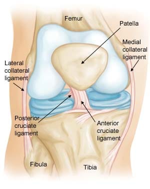 Ligamento cruzado anterior: qué es, síntomas y tratamiento