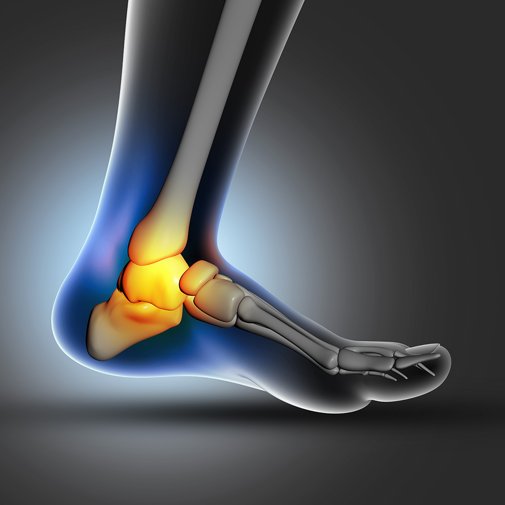 3D render of a medical image of close up of ankle bone in foot